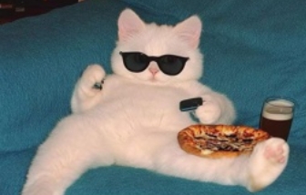 R.E.P.O.-Team Sync Upgrades-lagofast mod master