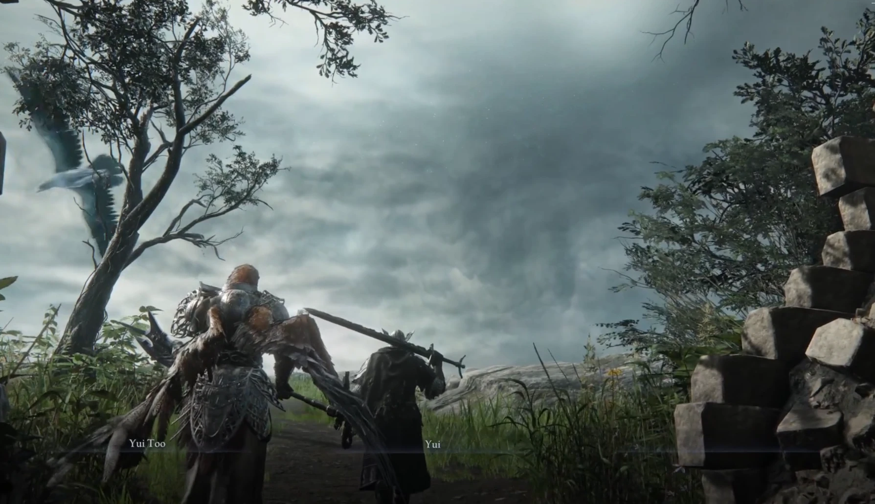 ELDEN RING NIGHTREIGN-Two-player Online Co-op Mod-lagofast mod master