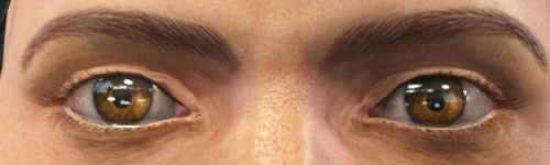 Fallout 4 The Eyes Of Beauty Fallout Edition-5-lagofast mod master