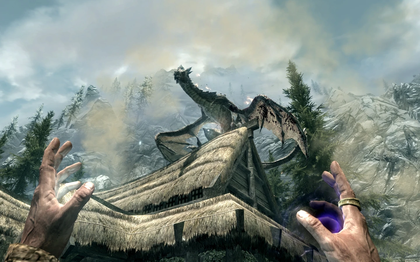 The Elder Scrolls V: Skyrim Special Edition 당신의 삶을 위해 달리세요-1-라고패스트 모드마스터