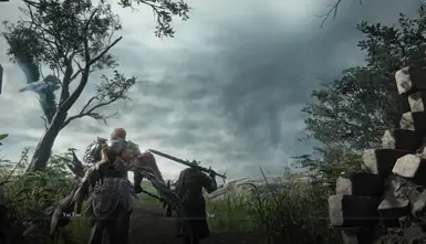 ELDEN RING NIGHTREIGN-Seamless Co-op (Nightreign)-lagofast mod master