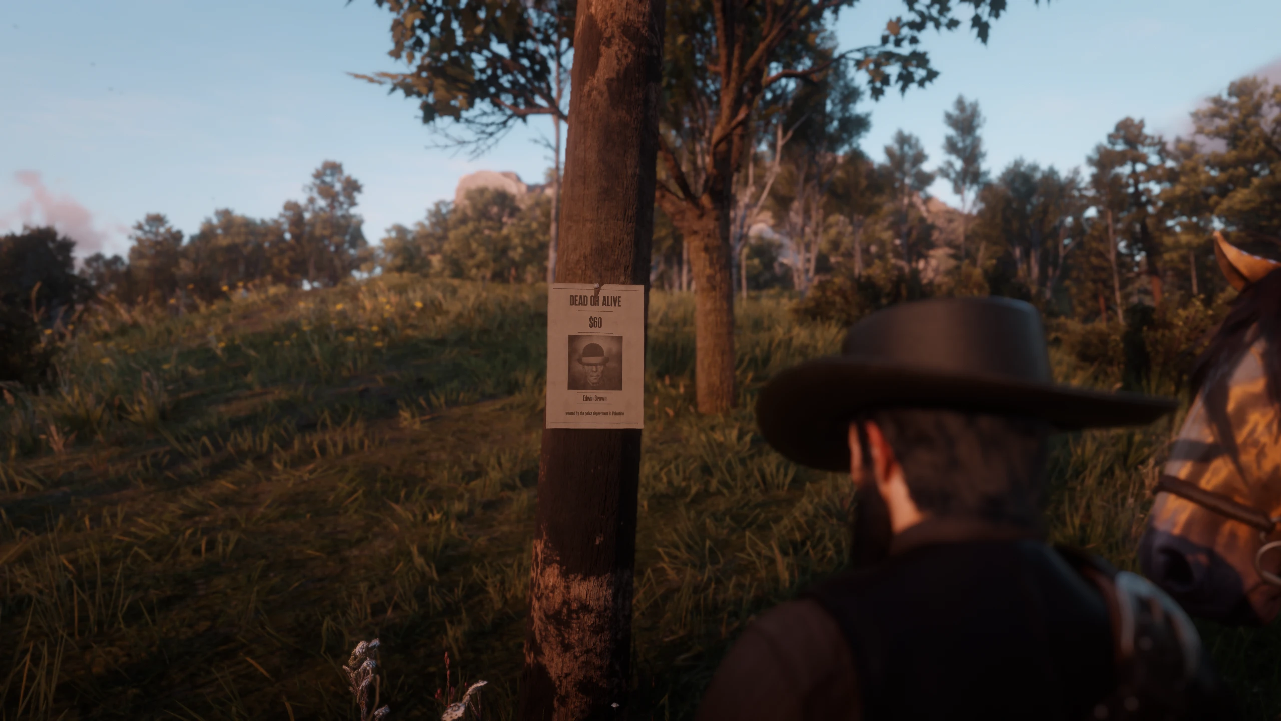 Red Dead Redemption 2 Bounty Hunting - Expanded and Enhanced-7-lagofast mod master