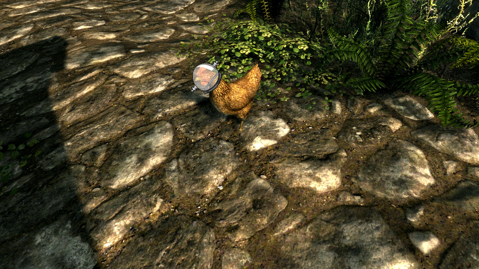 Starfield-Address Library for SFSE Plugins-lagofast mod master