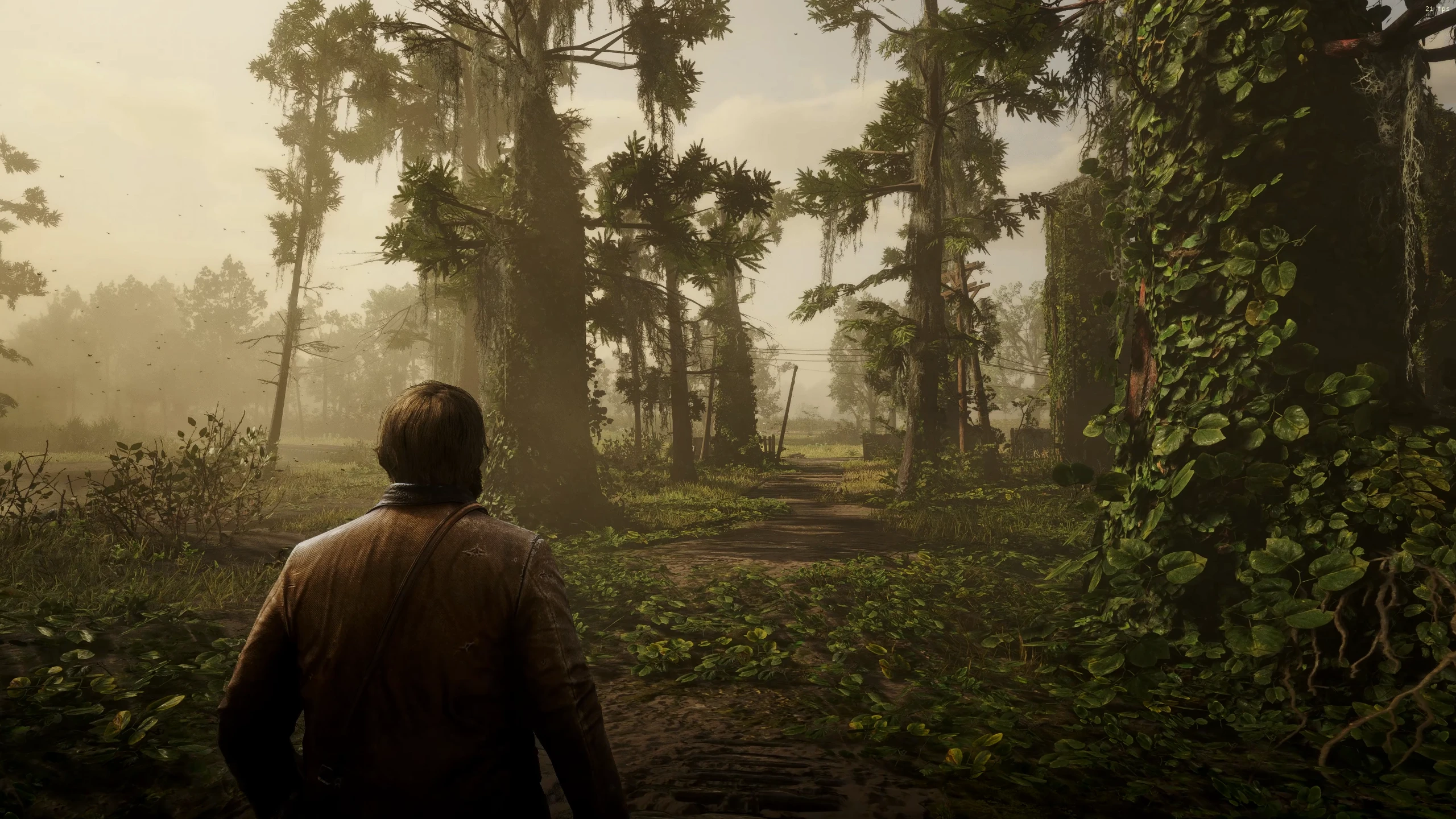 Red Dead Redemption 2 RDR2 Photorealistic reshade and Modlist-7-lagofast mod master