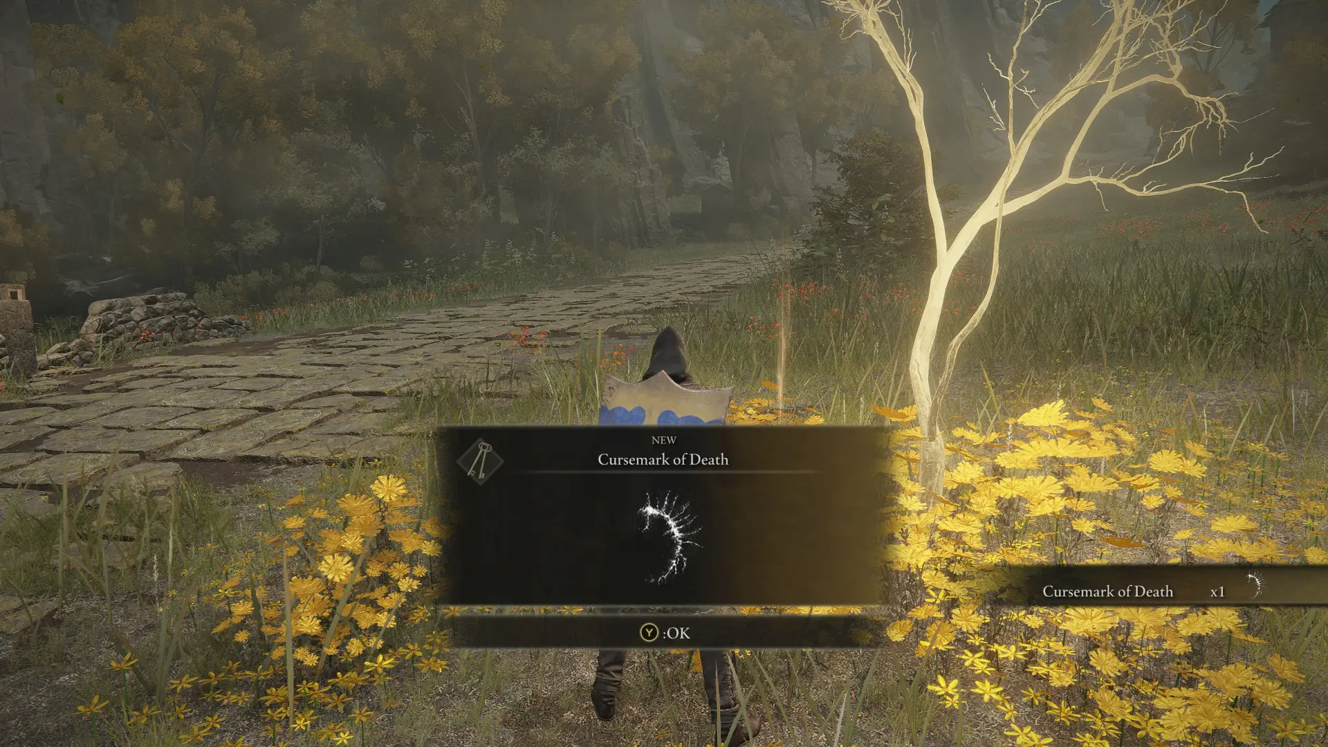 Elden Ring-Elden Ring Item and Enemy Randomizer-lagofast mod master