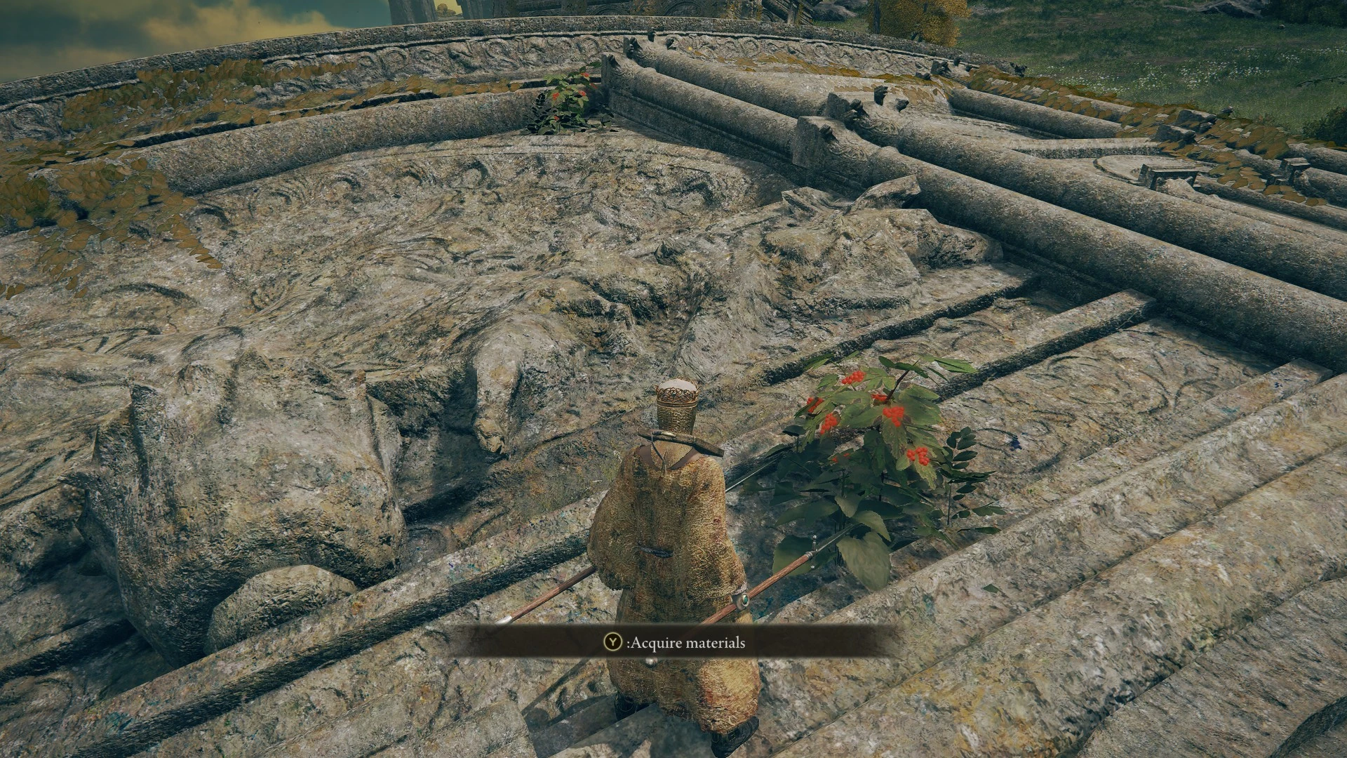 Elden Ring Elden Ring Item and Enemy Randomizer-4-lagofast mod master