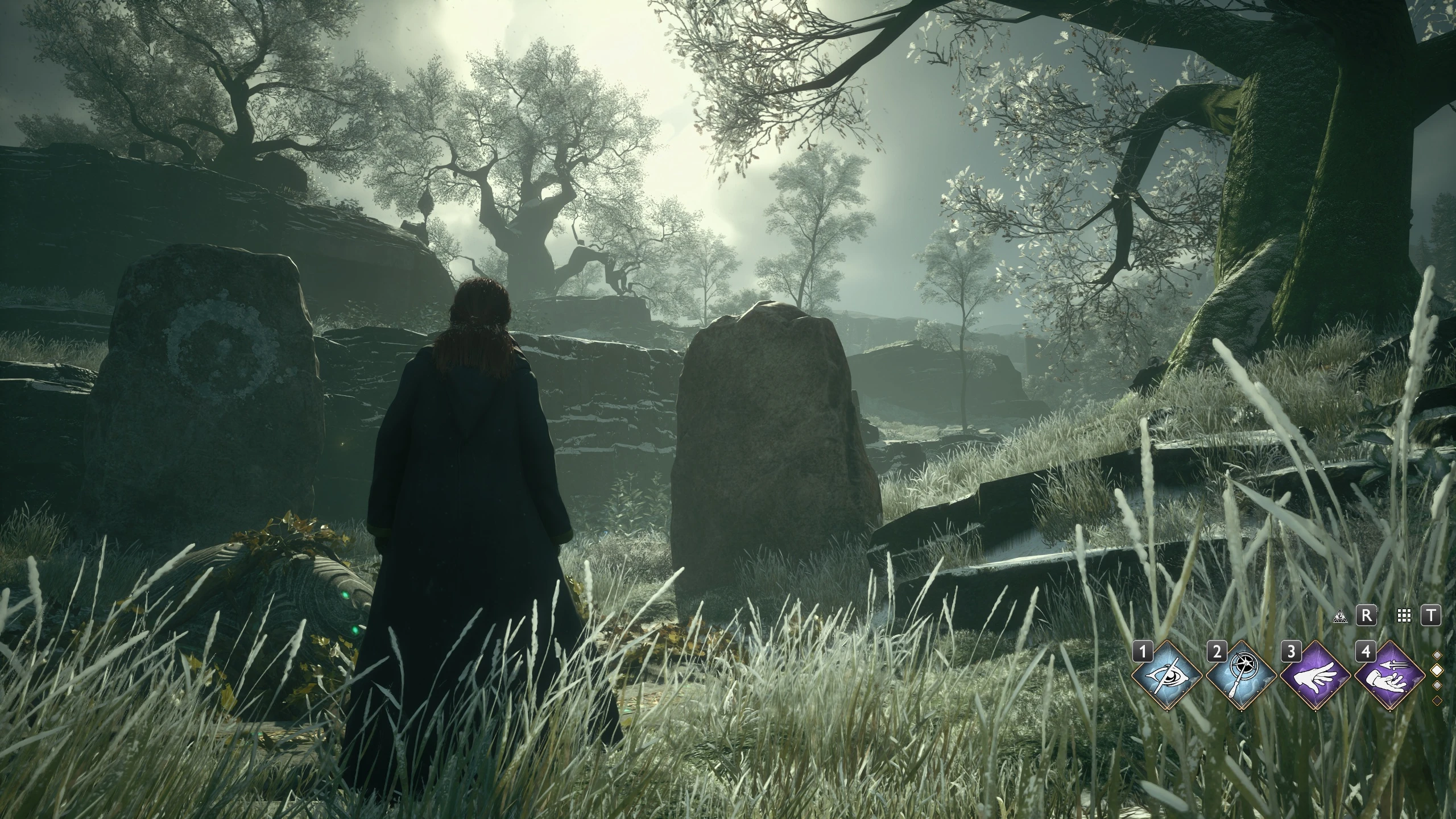 Hogwarts Legacy Ultra Plus Best Performance and Visuals for Everyone-5-lagofast mod master