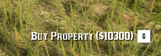 Red Dead Redemption 2 Buyable Properties-4-lagofast mod master