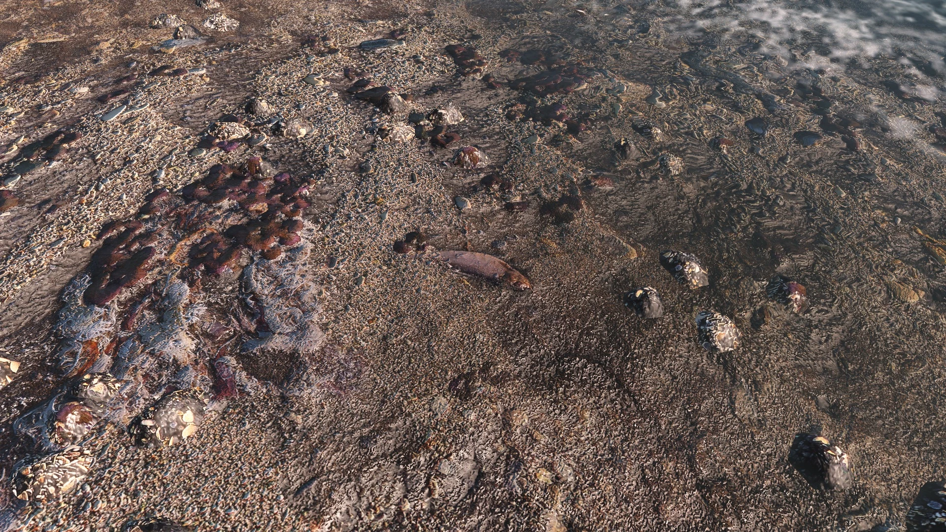 Fallout 4 Vivid Fallout - Landscapes - Textures in HD - ORIGINAL SIZE - LOWER RESOLUTION-4-lagofast mod master