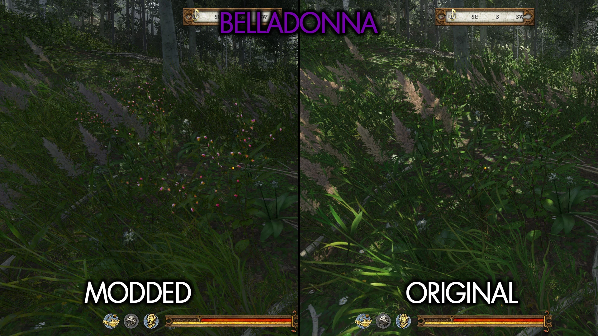 Kingdom Come: Deliverance Easy To See Herbs-2-lagofast mod master