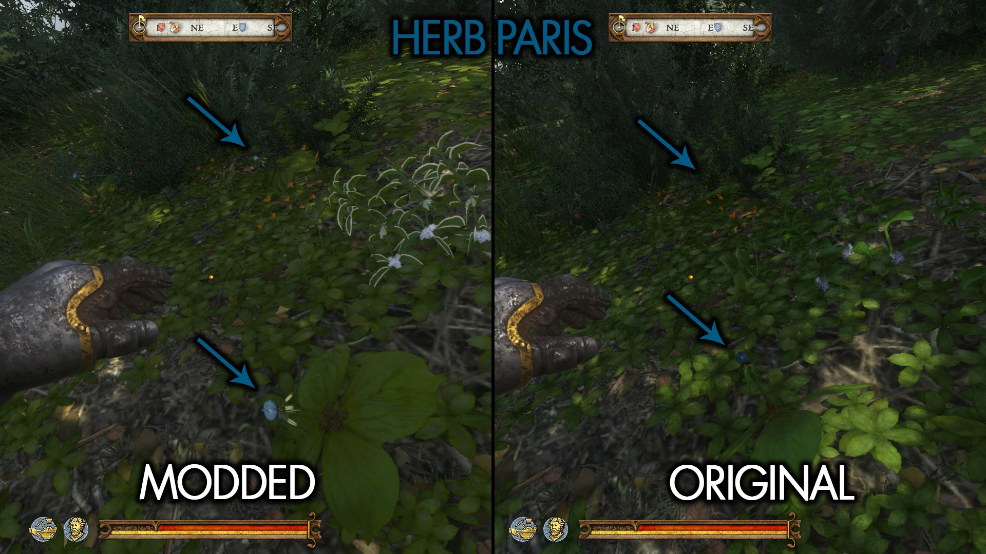 Kingdom Come: Deliverance Easy To See Herbs-4-lagofast mod master