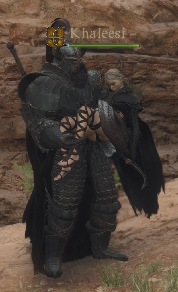 Dragon's Dogma 2 Affinity Bar-8-lagofast mod master