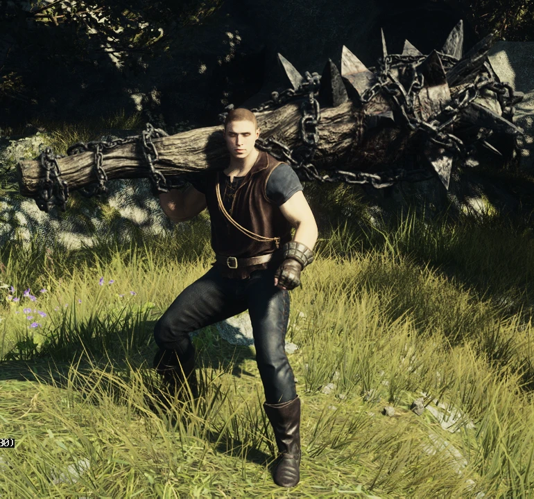 Dragon's Dogma 2 Transmogify-4-lagofast mod master