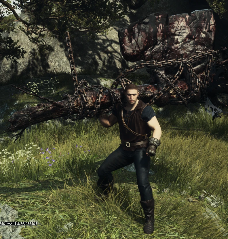 Dragon's Dogma 2 Transmogify-5-lagofast mod master