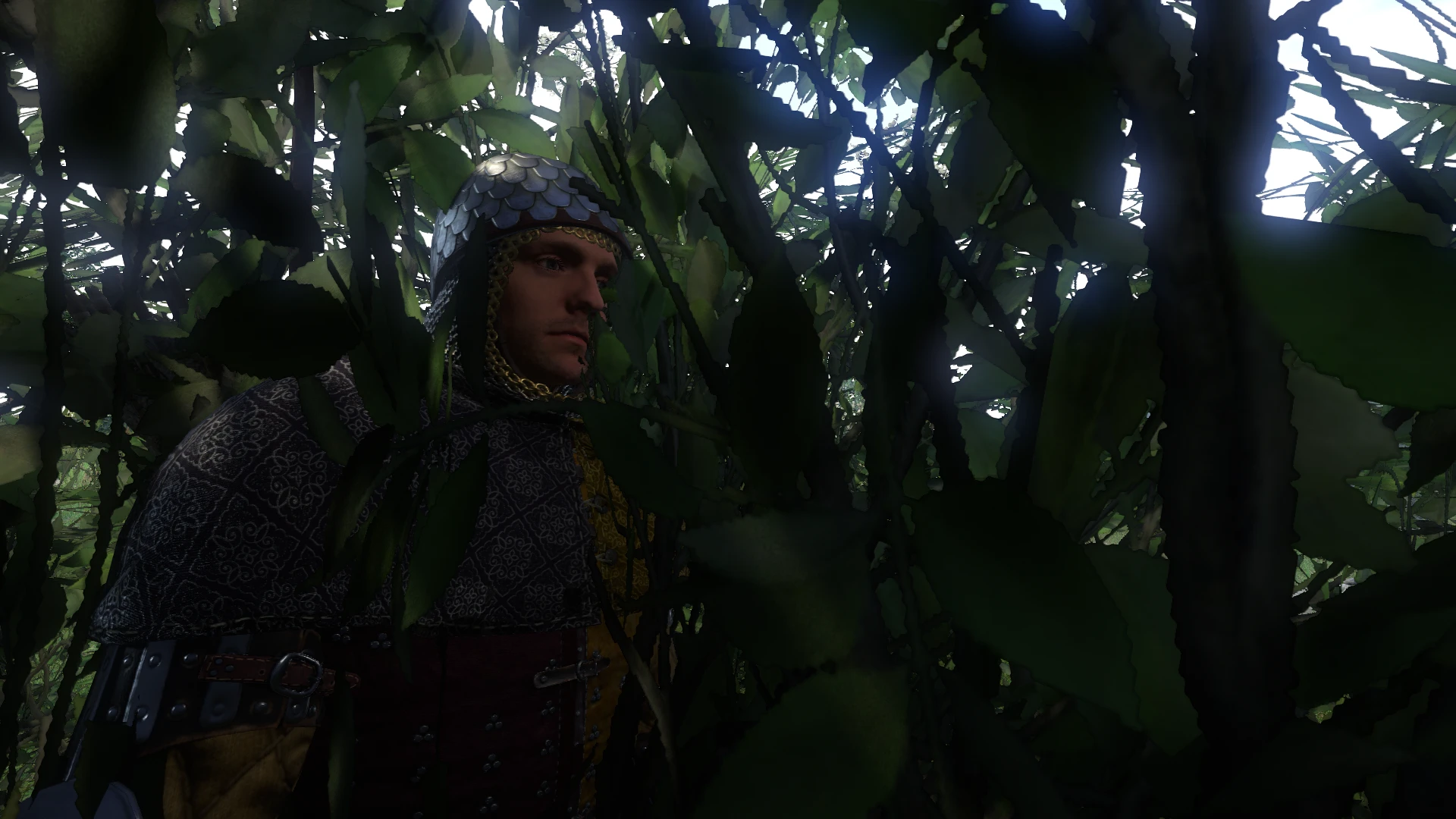 Kingdom Come: Deliverance Bushes- Collision Remover-1-lagofast mod master