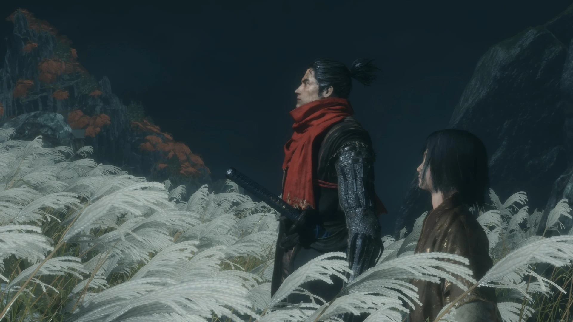Sekiro: Shadows Die Twice 검은색 세키로 및 흰색-2-라고패스트 모드마스터