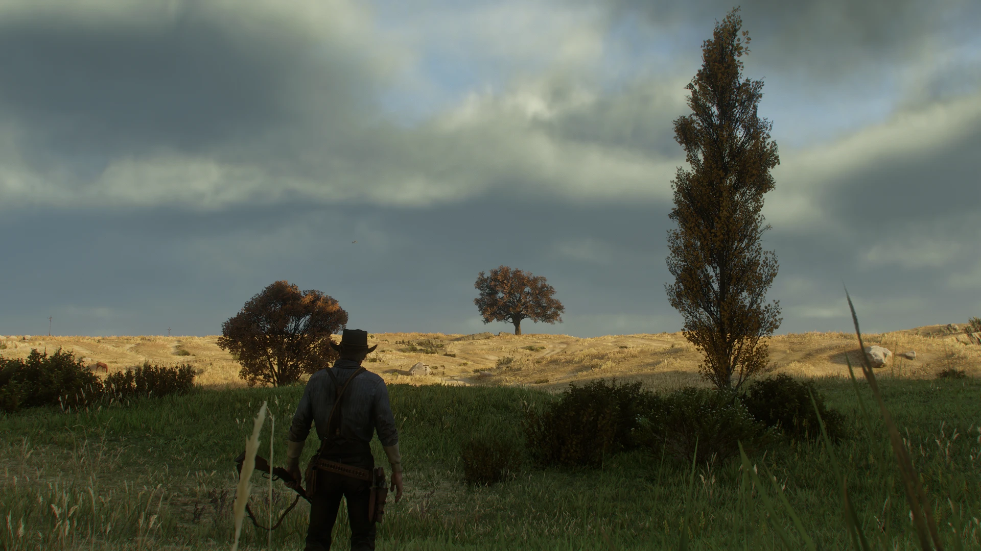 Red Dead Redemption 2 پوشش گیاهی پاییز 2.0-تجربه پاییز تک بازیکن-1-لاگوفست مدمستر