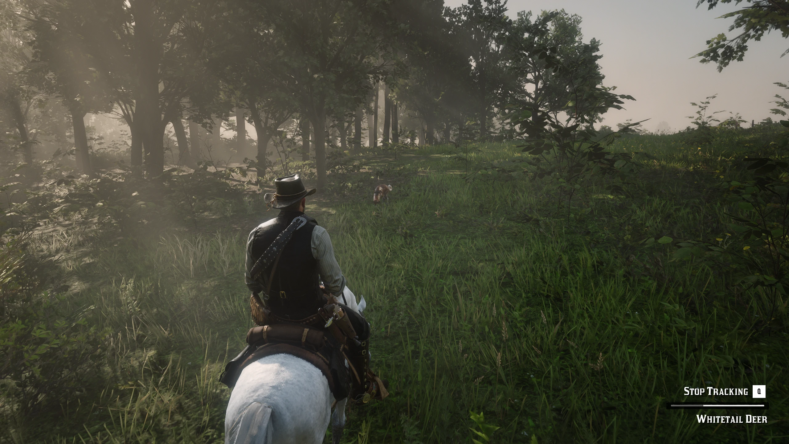 Red Dead Redemption 2 همراه سگ-6-لاگوفست مدمستر