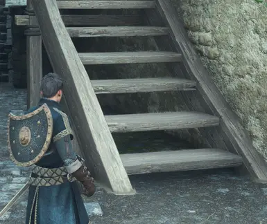 龙之信条2-质量光线跟踪-奇游Mod大师