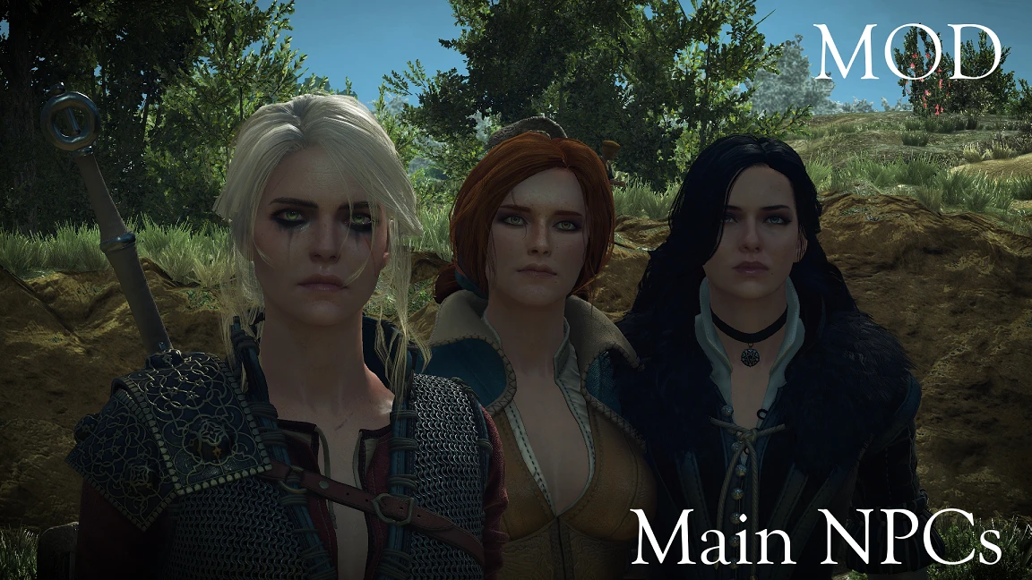 The Witcher 3: Wild Hunt-High Quality Faces-lagofast mod master