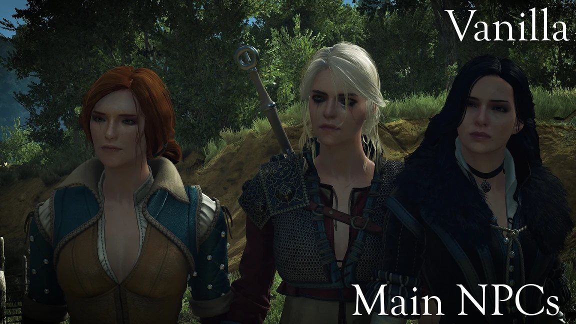 The Witcher 3: Wild Hunt High Quality Faces-2-lagofast mod master