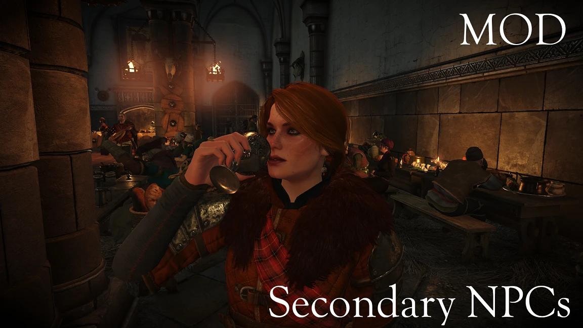The Witcher 3: Wild Hunt High Quality Faces-3-lagofast mod master