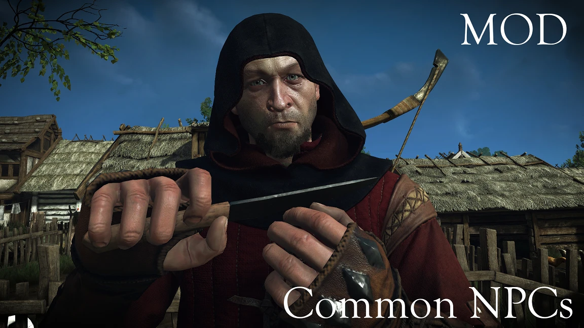 The Witcher 3: Wild Hunt High Quality Faces-5-lagofast mod master