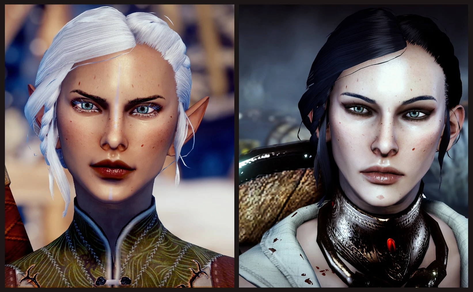 Dragon Age Inquisition-옆으로 땋은 반묶음-라고패스트 모드마스터