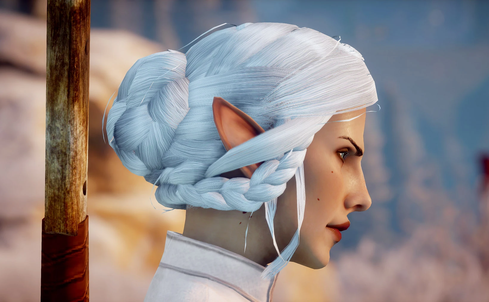 Dragon Age Inquisition 옆으로 땋은 반묶음-5-라고패스트 모드마스터
