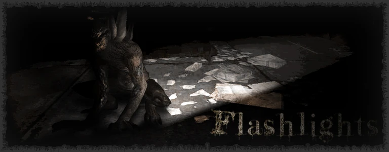Fallout: New Vegas Flashlight NVSE-1-lagofast mod master