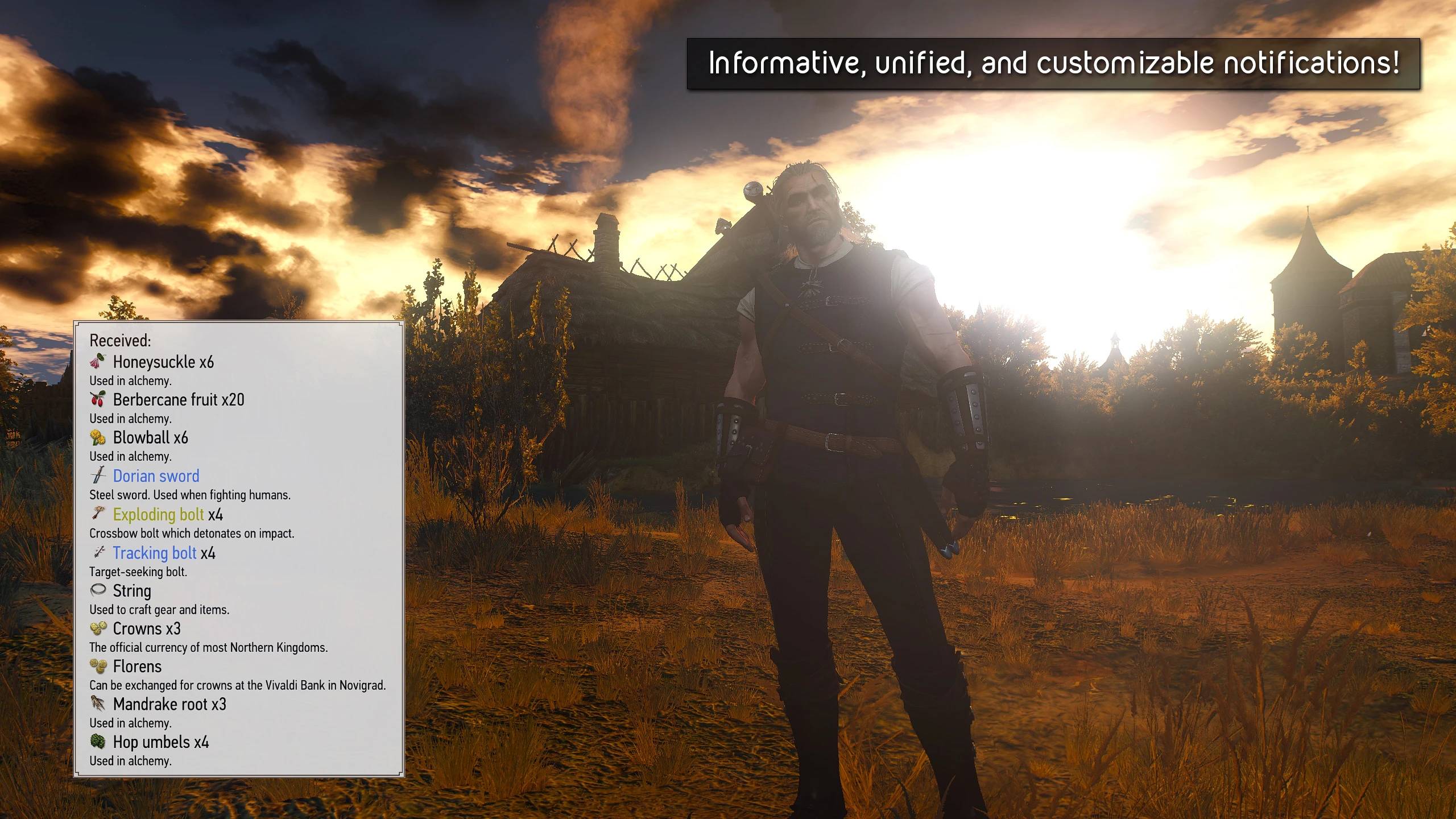The Witcher 3: Wild Hunt Configuration Tout-en-Un du Butin Automatique (1.30-1.31)-2-modérateur lagofast