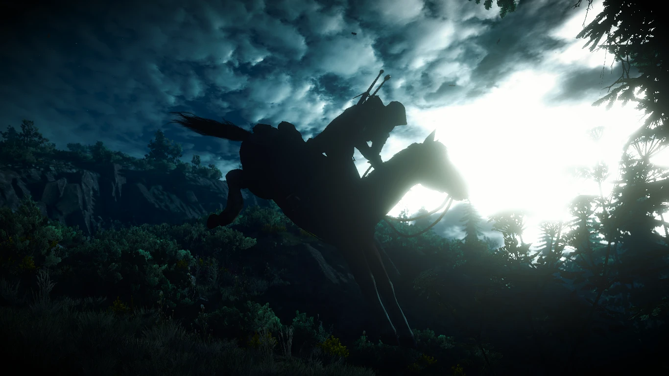 The Witcher 3: Wild Hunt **Manteau de Geralt**-4-modérateur lagofast