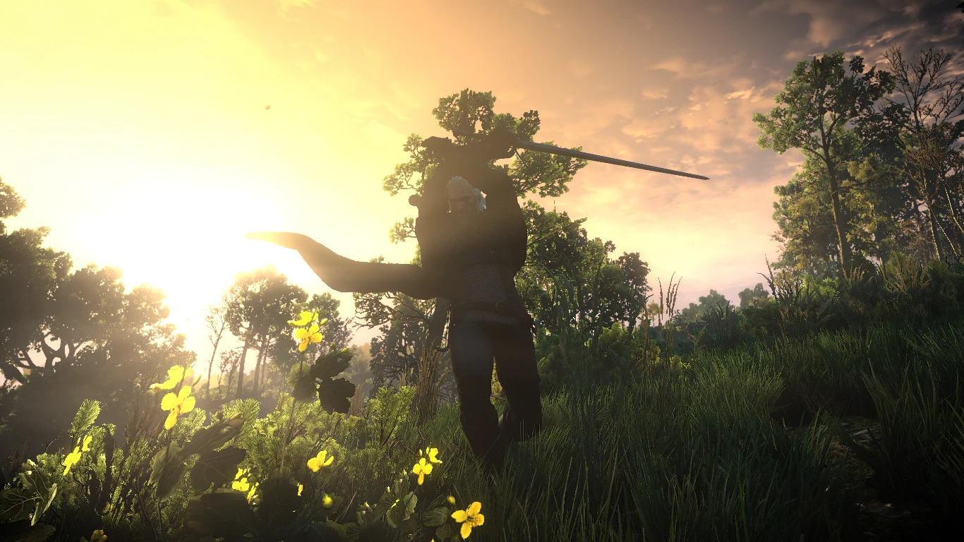 The Witcher 3: Wild Hunt **Manteau de Geralt**-3-modérateur lagofast