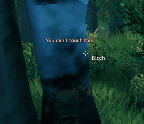 You can't Touch This
