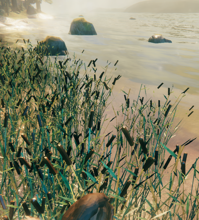 Shore Fixed