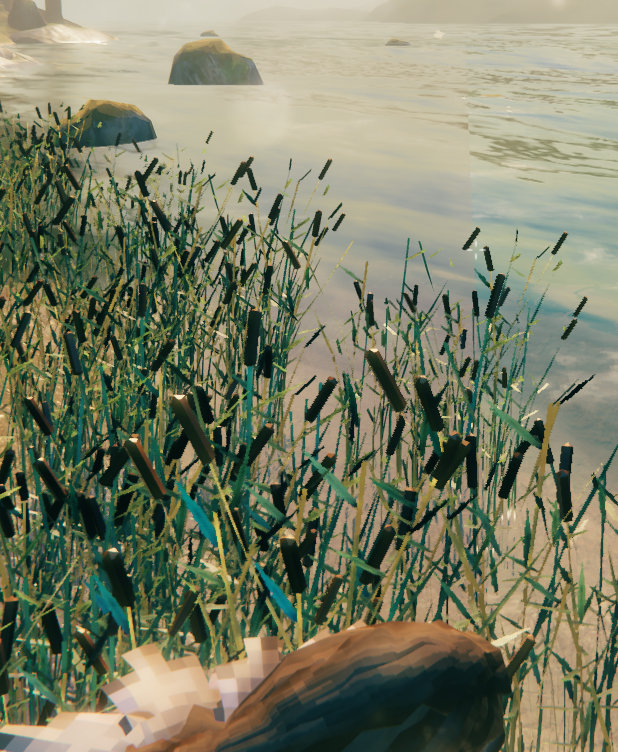 Shore Tears