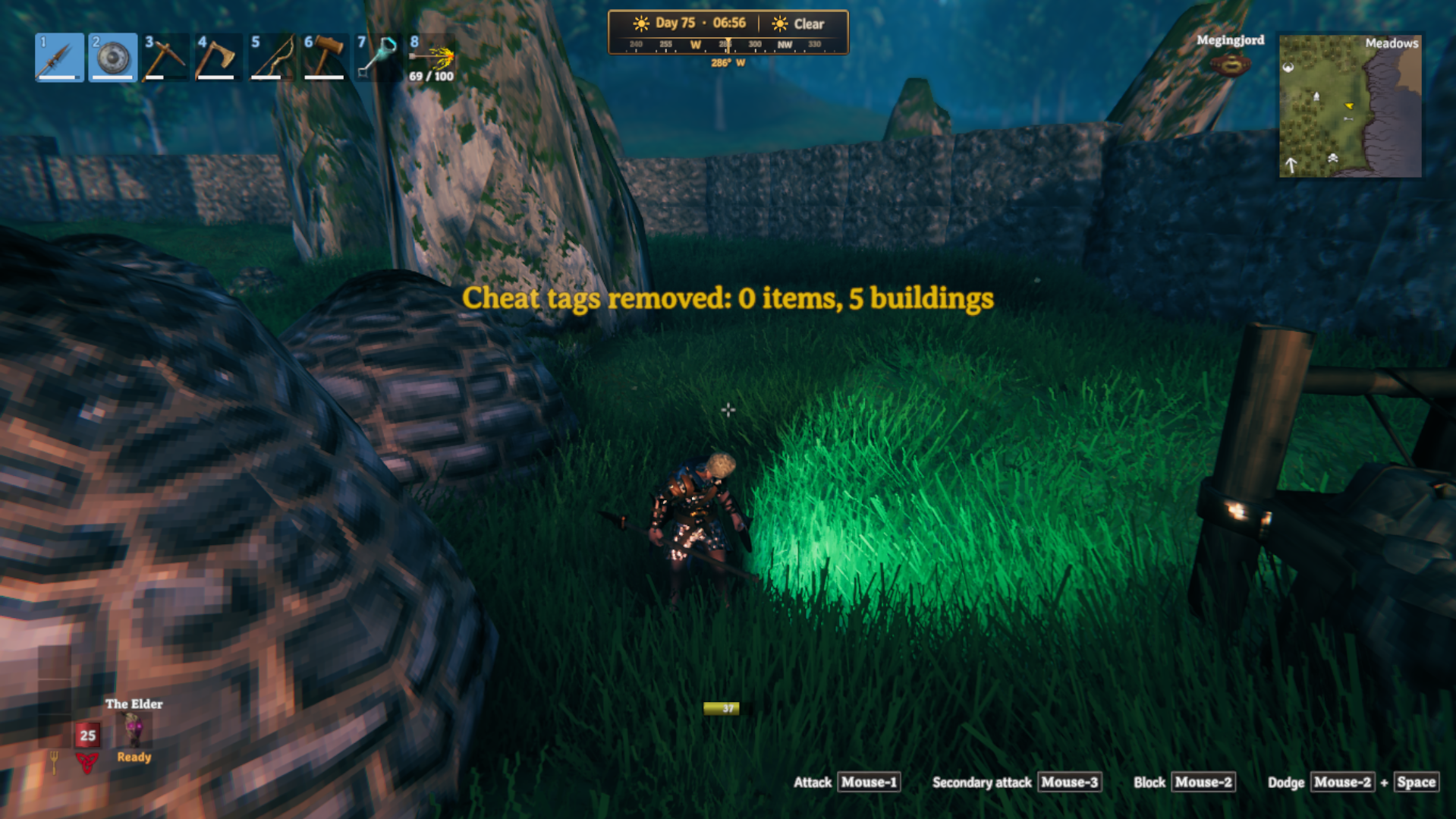 CheatTagCleaner in game