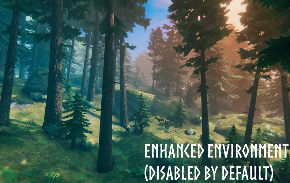 Enhanced Environment