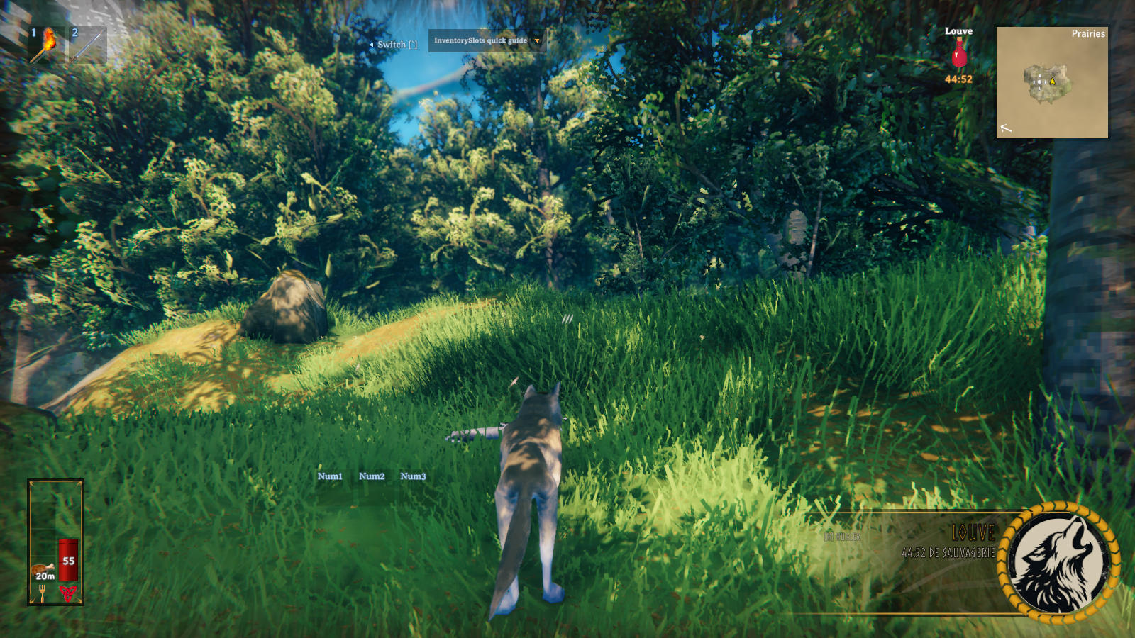Running through the forest as a she-wolf
