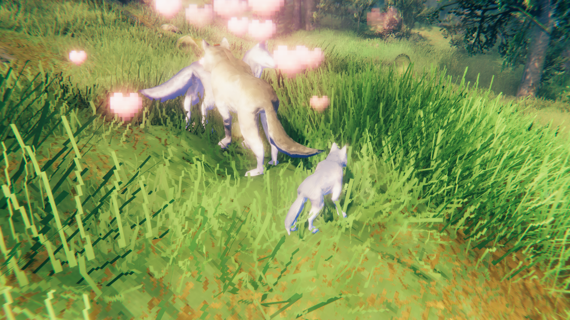 The pups are born at her feet, already tamed