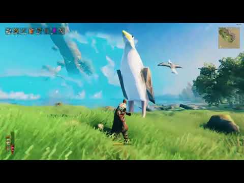 Preview Video