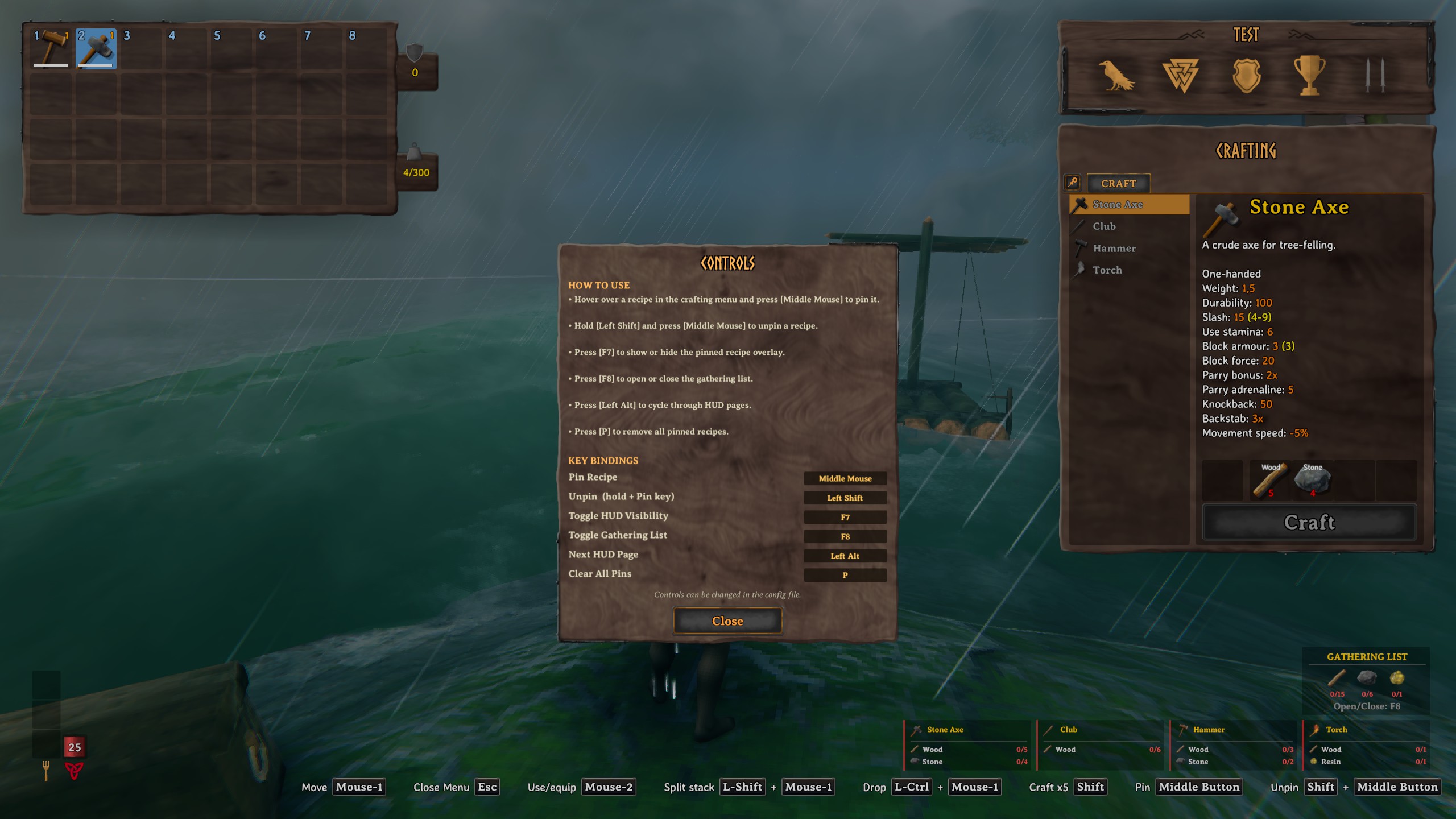 Controls Info Panel