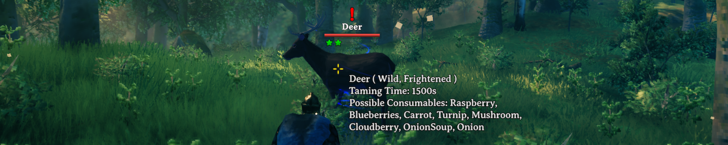 Deer