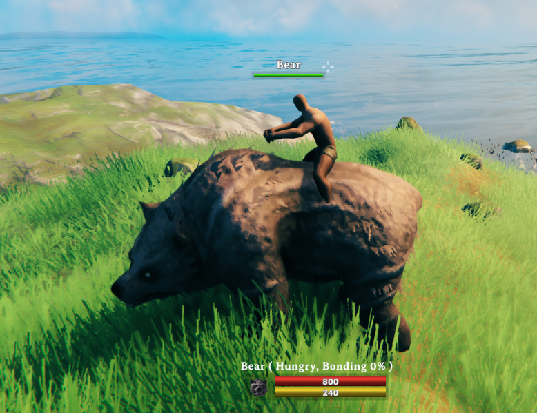 Bear