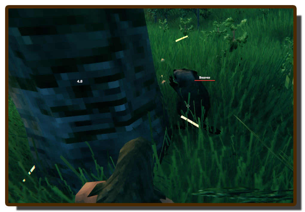 OdinBeaver