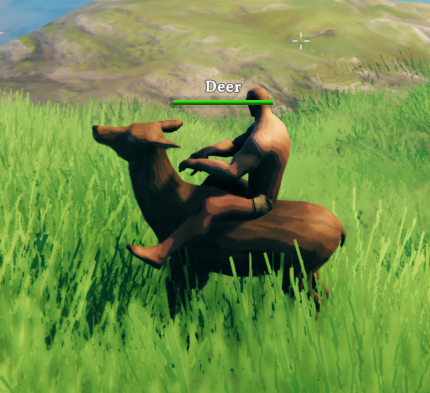 Deer