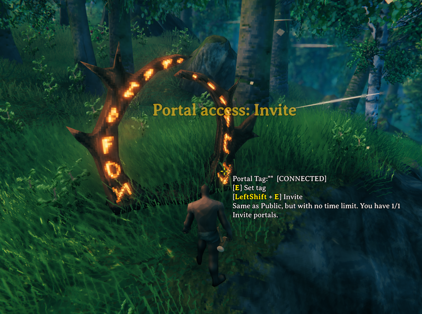 Invite portal hover details and account quota