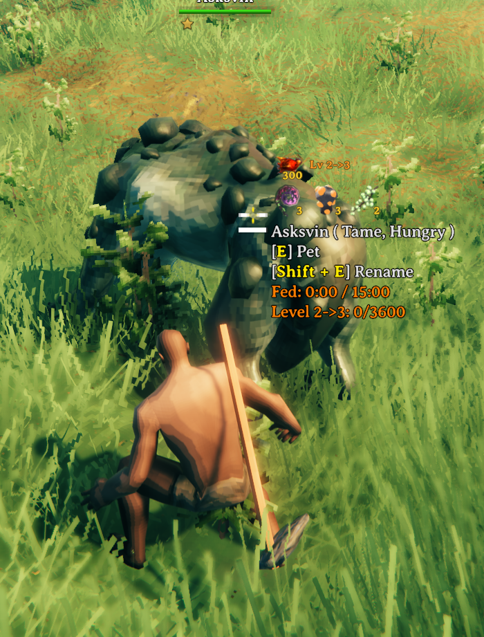 Asksvin using a dedicated food for its next level