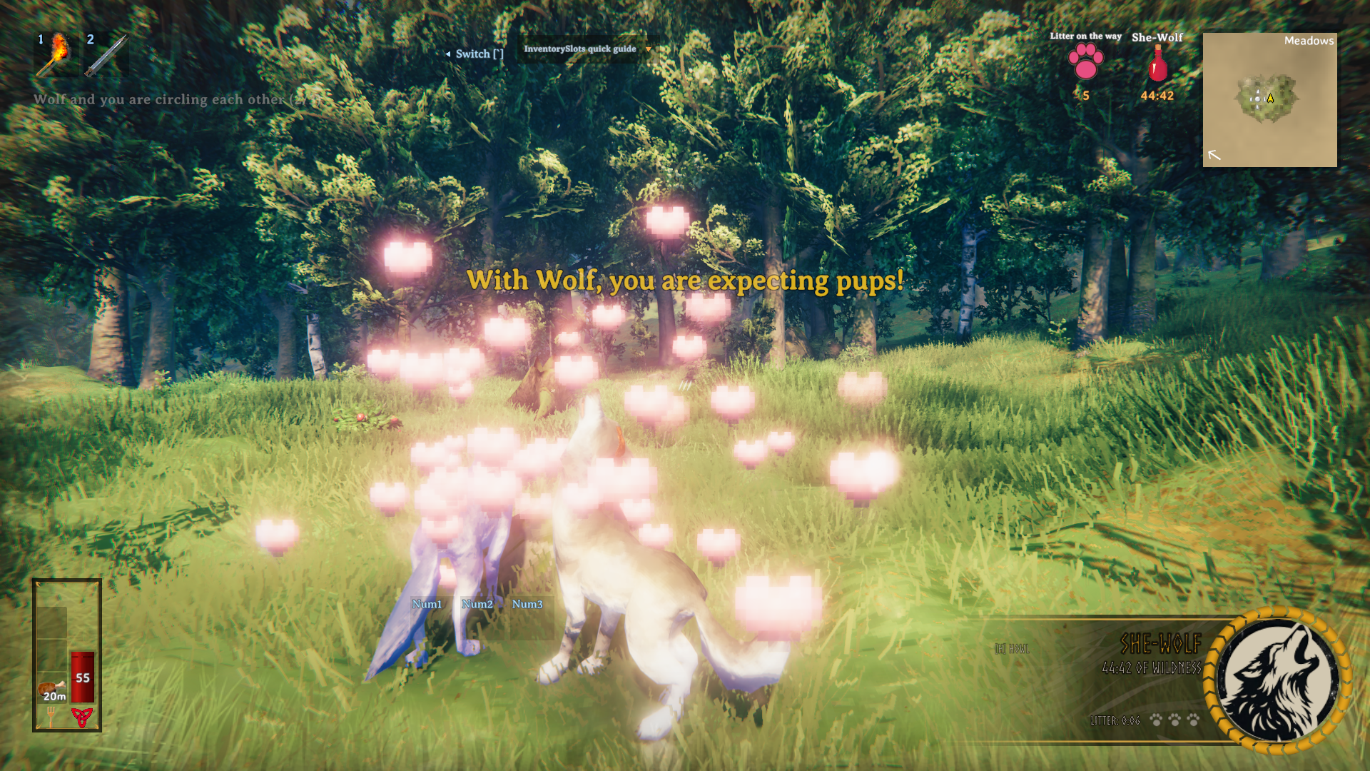 Near a tamed wolf, hearts appear: pups are on the way