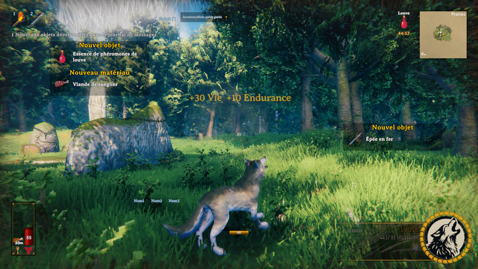 The she-wolf and her emblem